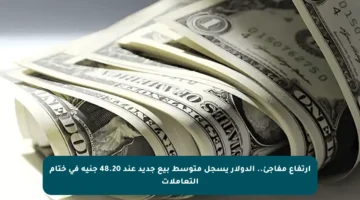 ارتفاع مفاجئ.. الدولار يسجل متوسط بيع جديد عند 48.20 جنيه في ختام التعاملات